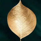 P10 / 20x30cm No Frame