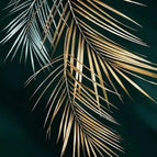 P8 / 20x30cm No Frame